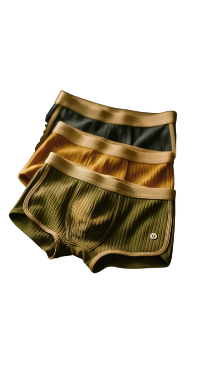 ARVELYNE - Iconic Boxer Briefs